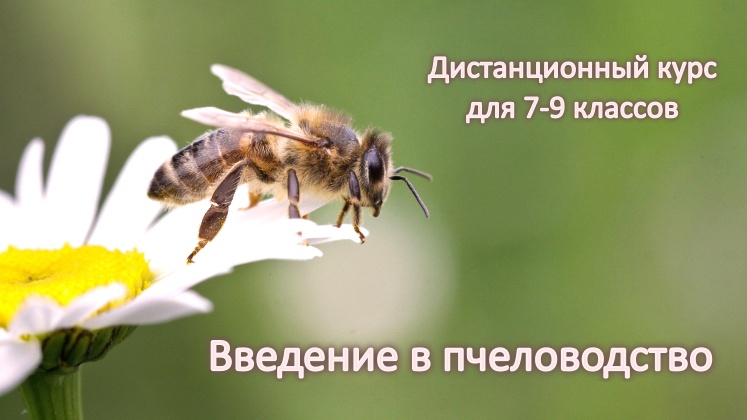 ЦДООШ приглашает (для учащихся 7-9-х классов).